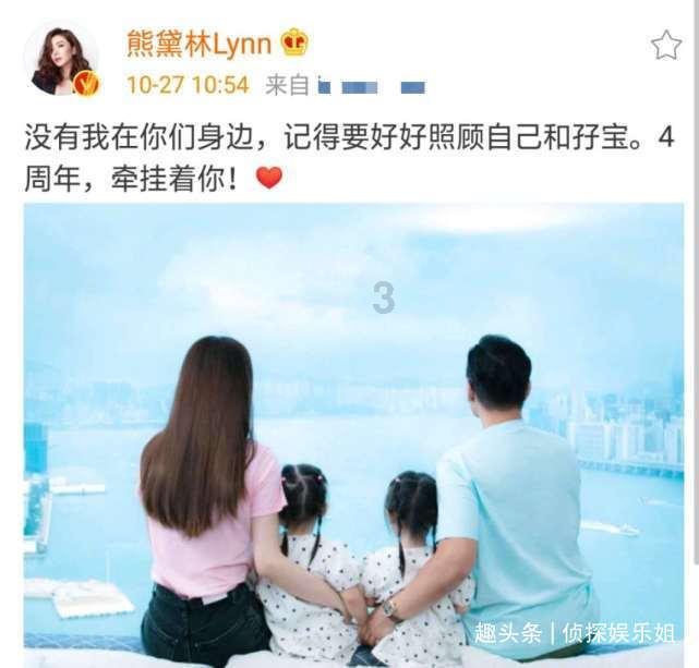 如何判断小狗是否健康游戏画面