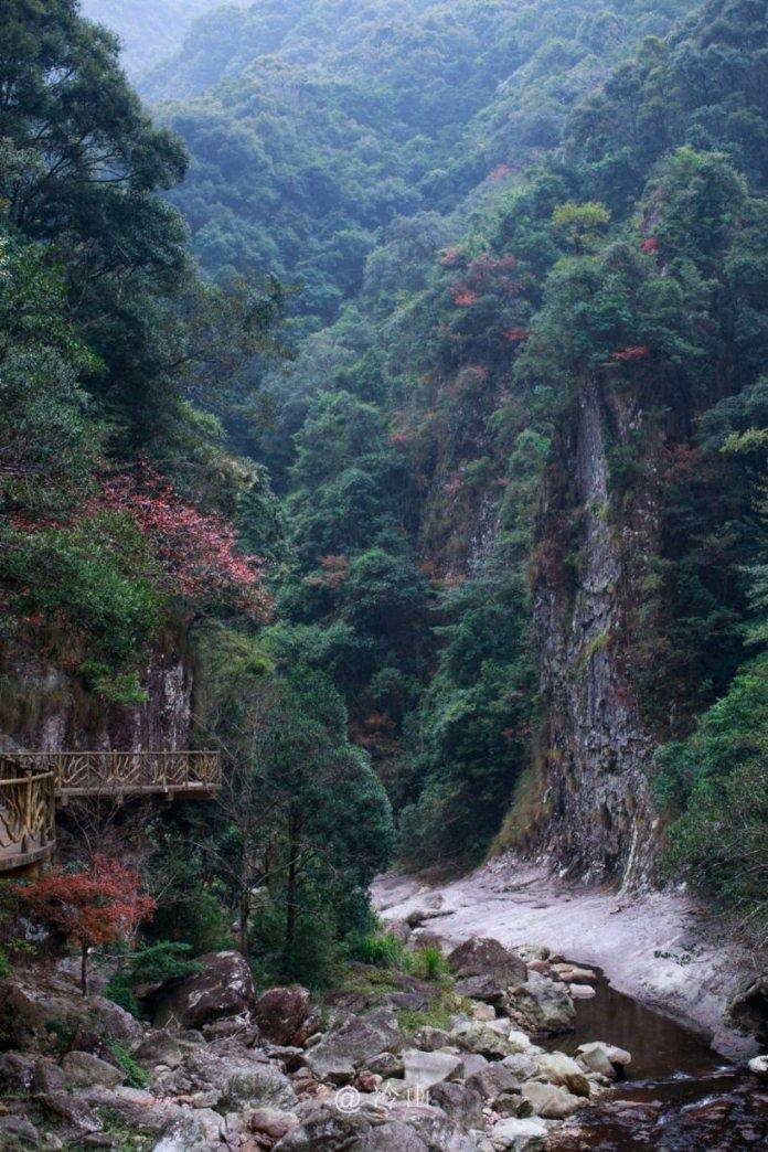 正宗阳澄湖大闸蟹多少钱一只？游戏画面